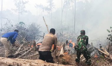 TNI-Polri dan Damkar Rohul Padamkan Kebakaran Lahan Dekat Rumah Sakit