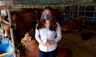 Ini Alasan Harus Pakai Masker Meski Sudah Mengenakan Face Shield