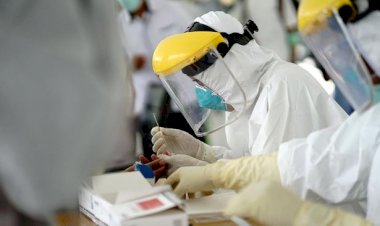 Dibuka 185 Lowongan Tenaga Kontrak Penanggulangan Covid-19 di Pekanbaru, Mulai Dokter hingga Administrasi