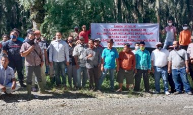 800 Ha Lahan Diklaim Suku Maharajo Kota Lama, Menejemen PT EDI Siap Dimediasi  Pemerintah Daerah