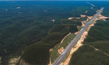 Usai Diresmikan Jokowi, Tol Pekanbaru-Dumai Digratiskan Beberapa Hari?