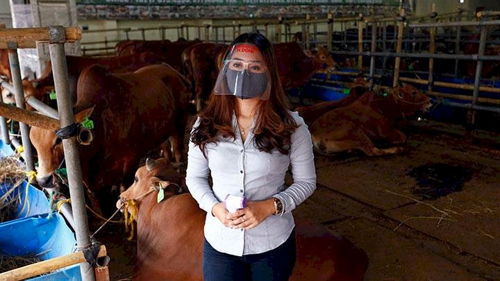 Ini Alasan Harus Pakai Masker Meski Sudah Mengenakan Face Shield