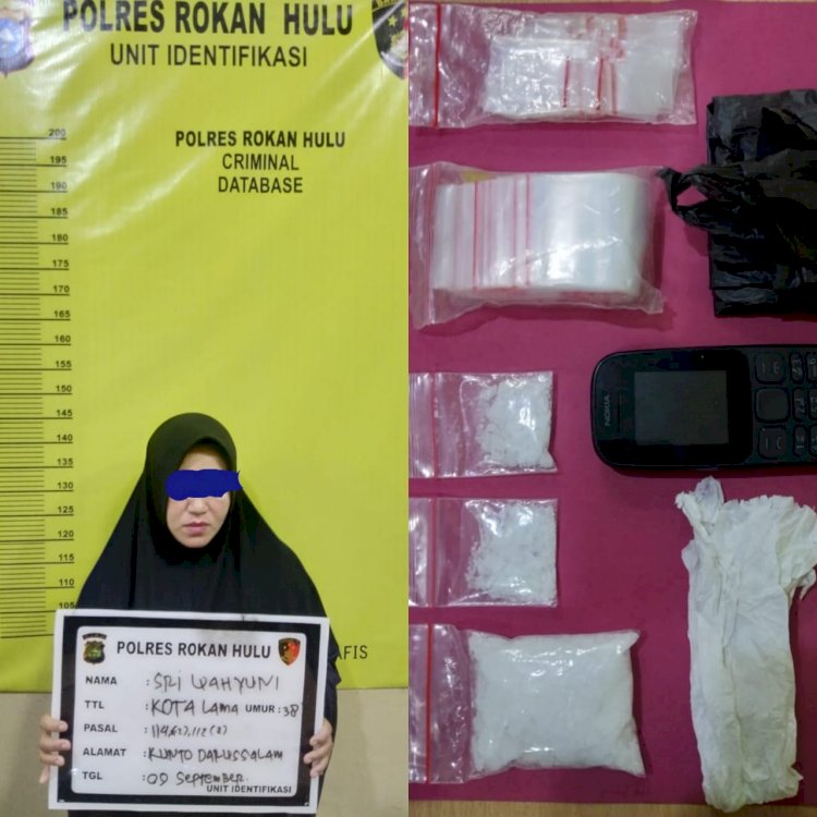 Diduga Jadi Bandar Sabu, Wanita Cantik Diciduk Polres Rokan Hulu