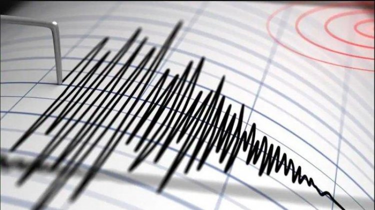Gempa Landa Pasaman Barat, Getarannya Sampai ke Padang Pariaman