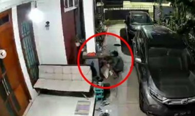 20 Aglonema Dicuri, Pemilik Tanaman Hias di Pekanbaru Lapor Polisi