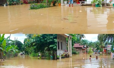 Puluhan Rumah di Rambah Samo Terendam Banjir