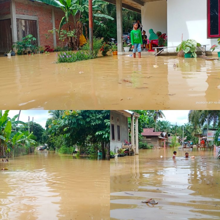 Puluhan Rumah di Rambah Samo Terendam Banjir