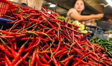 Emak-emak di Pekanbaru Mengelus Dada Gegara Harga Kebutuhan Pokok Meroket
