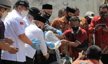 Ekspor Udang Berpotensi Pulihkan Ekonomi Nasional