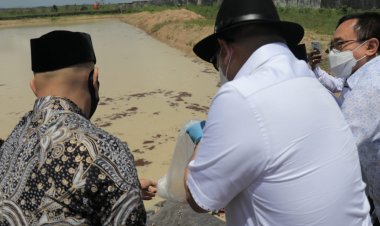 Ketua DPD RI Dorong Pengolahan Udang Jadi Komiditi Prioritas