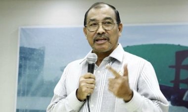 Senator Nono Sampono Minta Pemerintah Stabilkan Harga Cabai