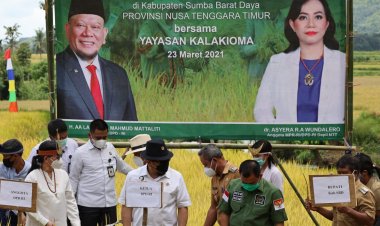 Dukung Penundaan Impor, Ketua DPD Berharap Bulog Serap Beras Petani