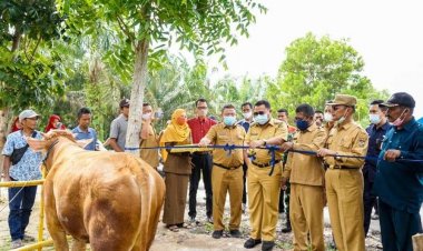 Bupati Kampar Resmikan Pasar Ternak di Kecamatan Tapung