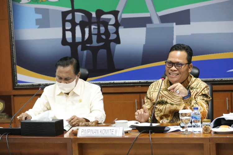 Komite II DPD RI Beberkan Permasalahan UU SP3K