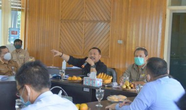 Hadiri Rapat Evaluasi Pelaksanaan RKT 2020 Bersama BKSDA Riau, Bupati Kampar Minta PLN Komit Program Lindes  