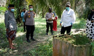 Bupati Siak Alfedri Tinjau Perbatasan Siak-Kampar di Kampung Rantau Bertuah