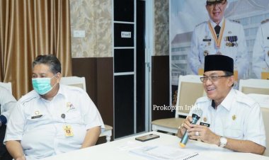 Bupati Inhil Jadi Narasumber Webinar Tentang Perkelapaan Tajaan IPB  