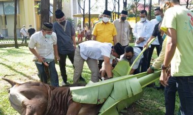 DPRD Dan Sekretariat DPRD Provinsi Riau Potong 20 Ekor Sapi Kurban