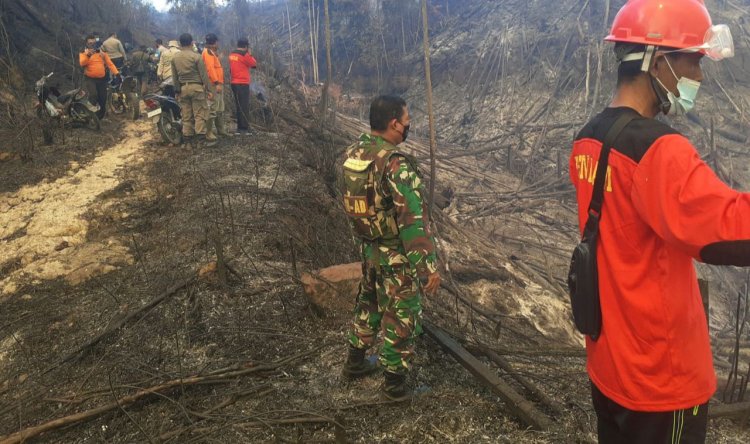 50 Ha Lahan di Hutan Lindung Bukit Suligi Terbakar