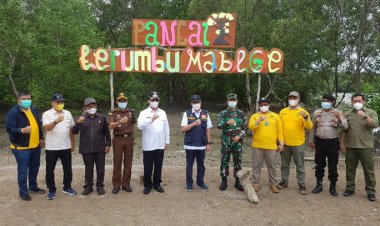 Bupati Inhil Dampingi Gubri Tanam Mangrove di Pantai Terumbu Mabloe