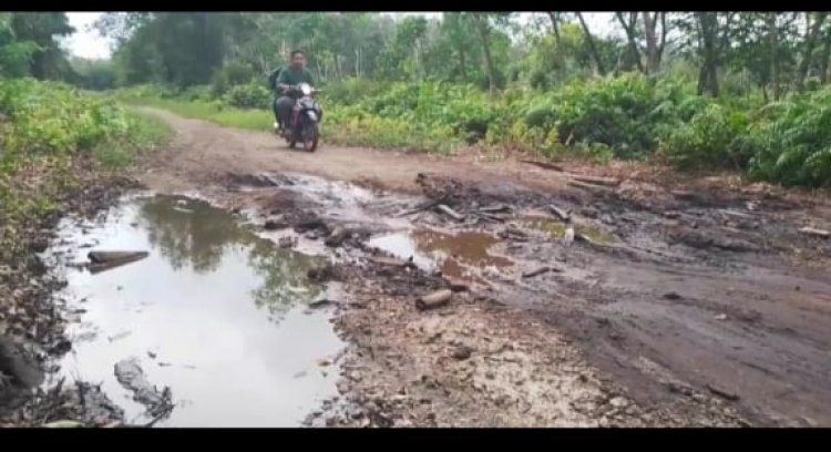 Jalan Poros Penghubung Kecamatan Bengkalis-Bantan Rusak Parah