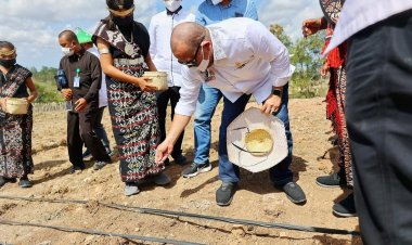 LaNyalla Nyatakan Impor Bukan Solusi atas Tingginya Harga Jagung 