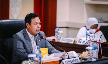 Sultan Minta Skema Pajak Harus Berorientasi Pada Agenda Mitigasi Perubahan Iklim 