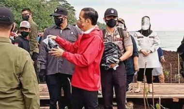 Kunker ke Riau, Bersama Masyarakat Presiden Tanam Mangrove di Bengkalis