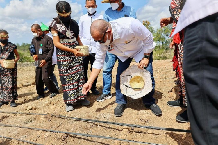 LaNyalla Nyatakan Impor Bukan Solusi atas Tingginya Harga Jagung 