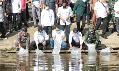 Gubri dan Wagubri Tebar 6 Ribu Benih Ikan Patin di Desa Cipang Kiri Hulu
