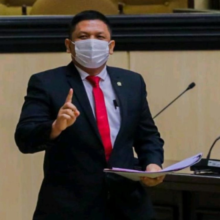 Senator Fernando Sinaga Pastikan RUU Perubahan Kedua UU Desa Diajukan Saat Sidang Paripurna 