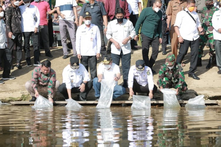Gubri dan Wagubri Tebar 6 Ribu Benih Ikan Patin di Desa Cipang Kiri Hulu
