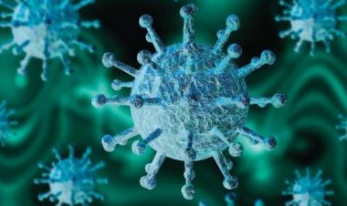 Indonesia Ambil Langkah Cepat Hadapi Varian Omicron, WNA dari Negara Ini Ditolak Masuk