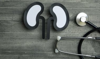 Ciri-Ciri Gagal Ginjal dan Faktor Penyebabnya