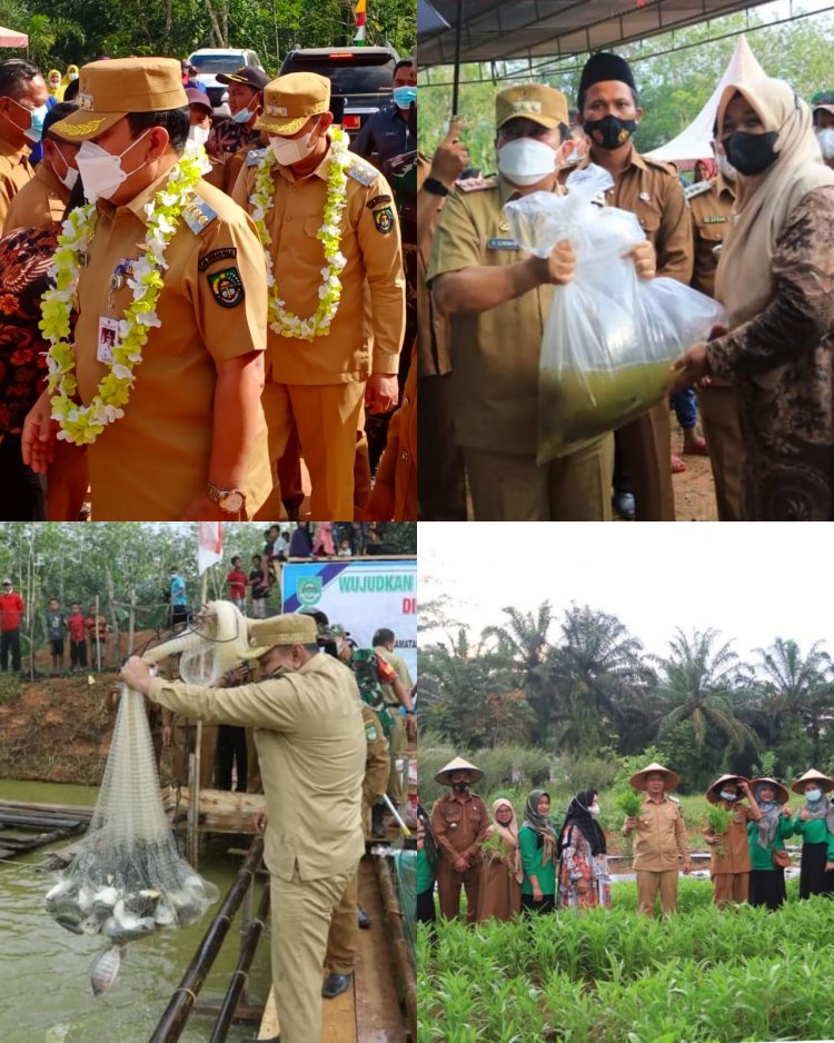 Bupati dan Wabup Rohul Panen Ikan Perdana di Desa Suligi 