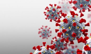 Hari Ini Riau Tambah 1 Kasus Covid dan 1 Pasien Sembuh