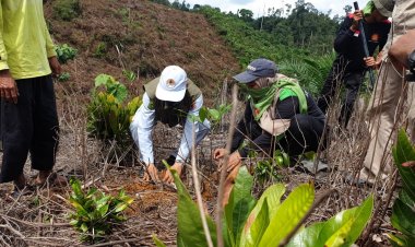 PTPN V Berkolaborasi Reboisasi Hutan Lindung Bukit Suligi