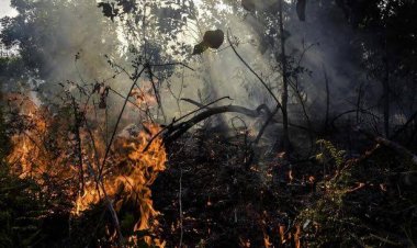 Waspada Karhutla, Berikut 23 Hotspot Terpantau di Riau