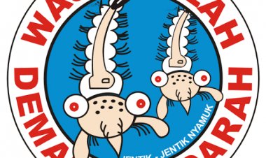 Waspada, Tiga Minggu 31 Kasus DBD di Pekanbaru