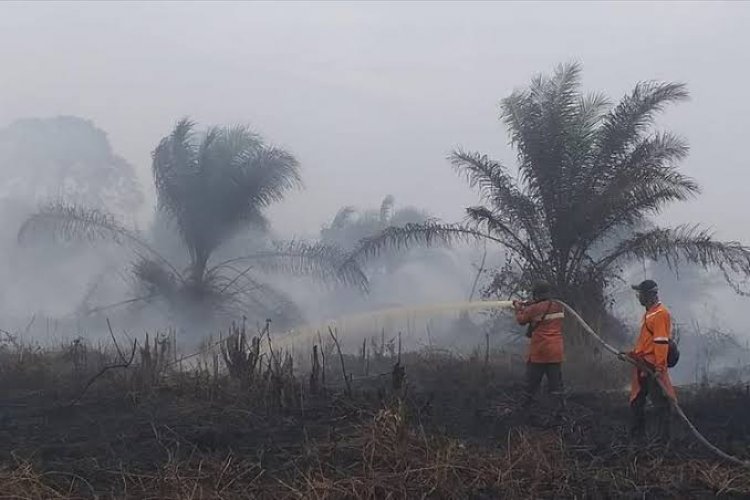 Waspada Karhutla Titik Hotspot di Riau Terus Bertambah Menjadi 32 Titik