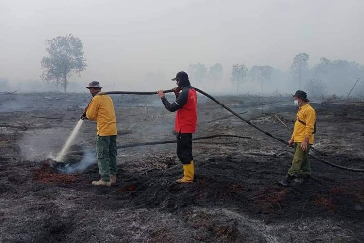 BPBD Riau Minta Daerah Rawan Karhutla Percepat Tetapkan Status Siaga