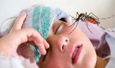 Angka Kasus DBD Meningkat, Dinkes Pekanbaru Imbau Warga Terapkan 3M