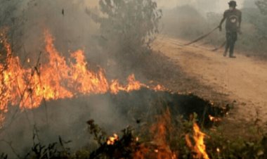 Riau Terdeteksi 25 Hotspot, Pelalawan Terbanyak Muncul Titik Panas