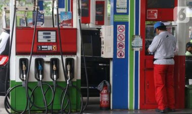 Besok, Pemprov Riau Lakukan Pertemuan dengan Pertamina Bahas Kelangkaan Biosolar