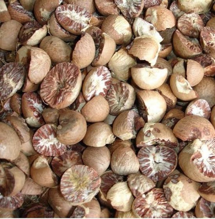 Minggu Ini Harga Pinang Kering di Riau Mengalami Penurunan Rp12.800 per Kg