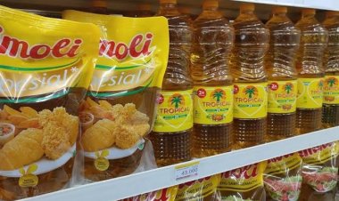 BLT Minyak Goreng Cair Minggu Depan, Begini Cara Cek Nama Penerima