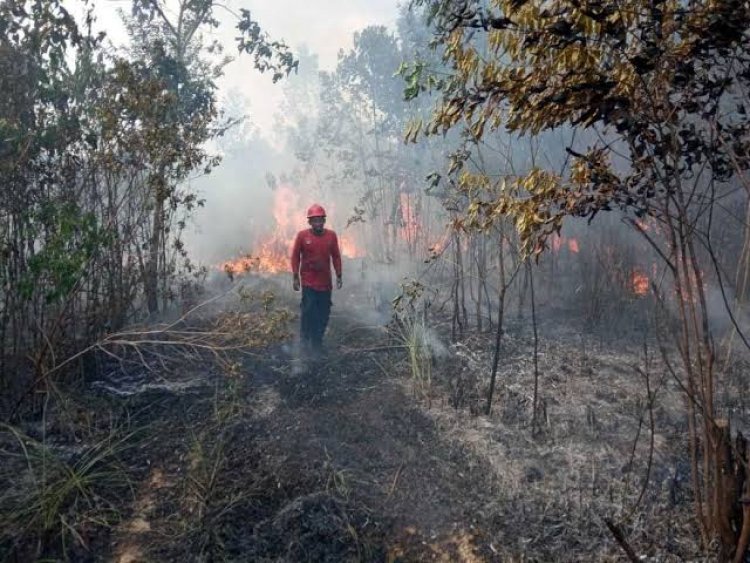 Kapolri Bakal Copot Kapolda Tak Antisipasi Karhutla