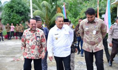Wakil Gubernur Riau Silaturahmi ke Desa Pambang Baru
