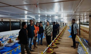 Sinergi PTPN V-PNM Perkuat UMKM Kampung Ayam Pedaging Kampar