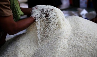 Data BPS: Harga Gabah dan Beras Beras Naik di Agustus 2022
